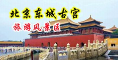 鸡巴插阴道三级黄色在线观看中国北京-东城古宫旅游风景区